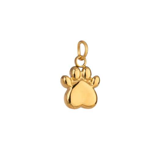 Paw Charm